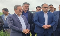 ورود مجموعه‌های پیشران به حوزه تولید بذر/ نقش ترویج در افزایش درآمد کشاورزان کلیدی است